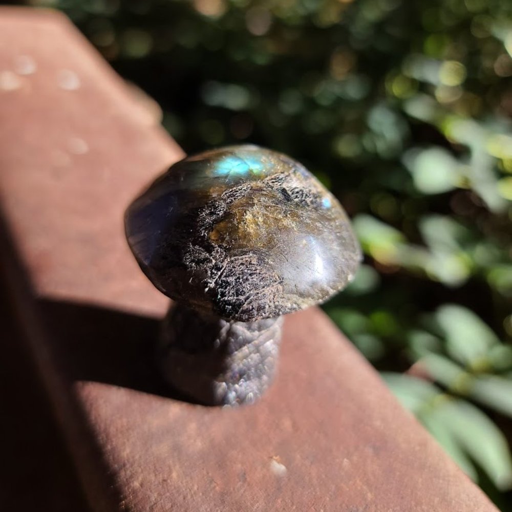 Laboradite hand carved mushroom 3"